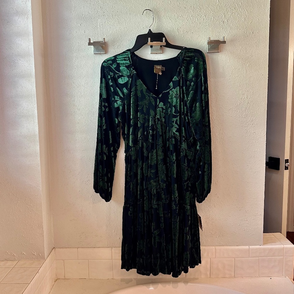 Taylor burnout velvet dress